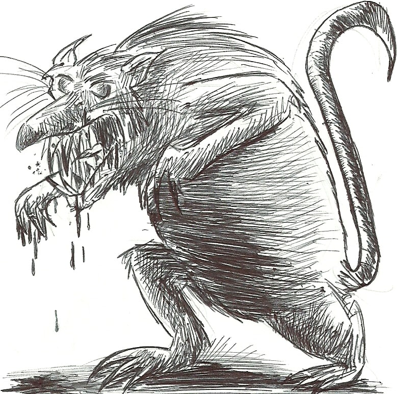 dan's rat