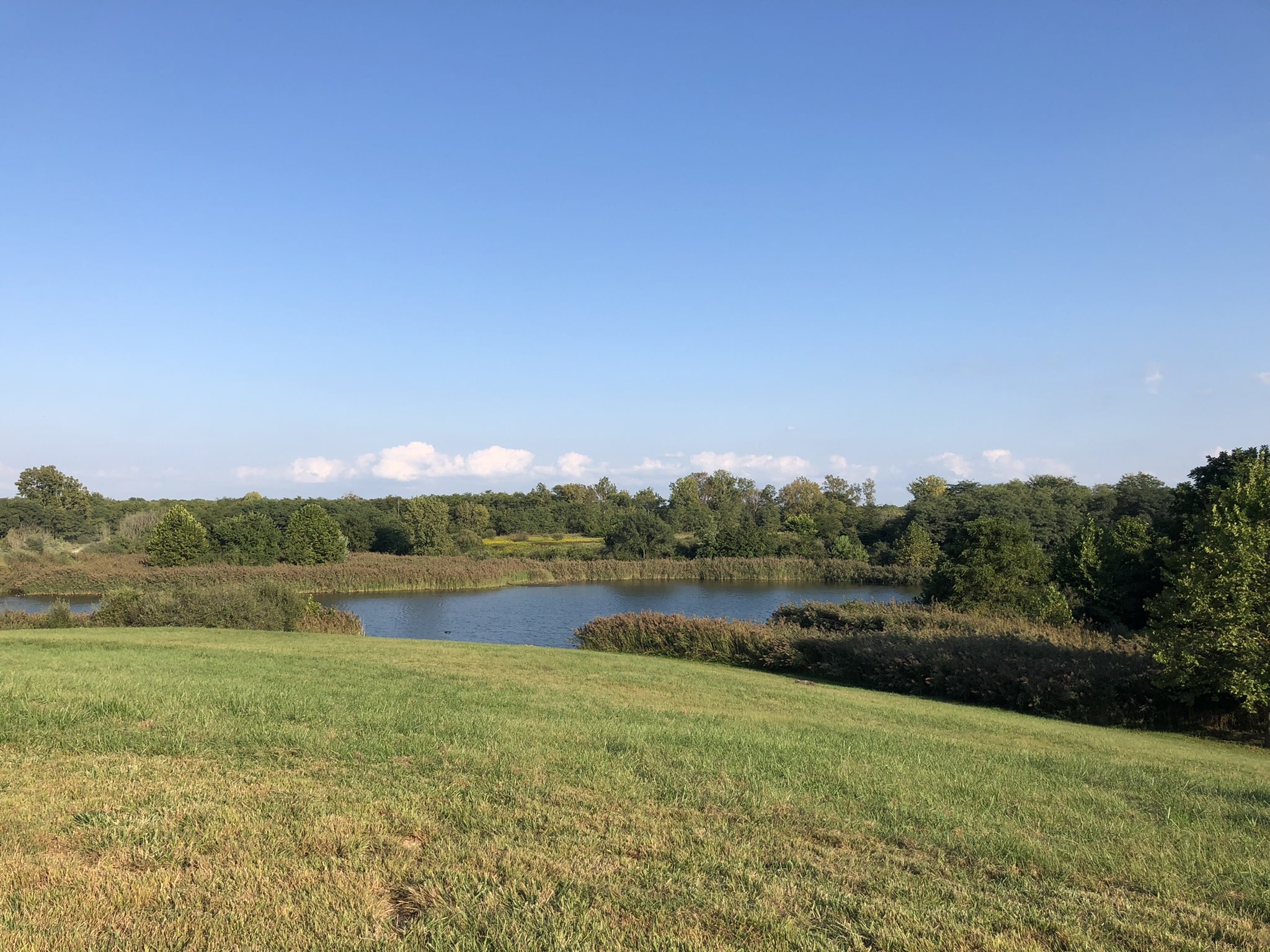 indiana 4