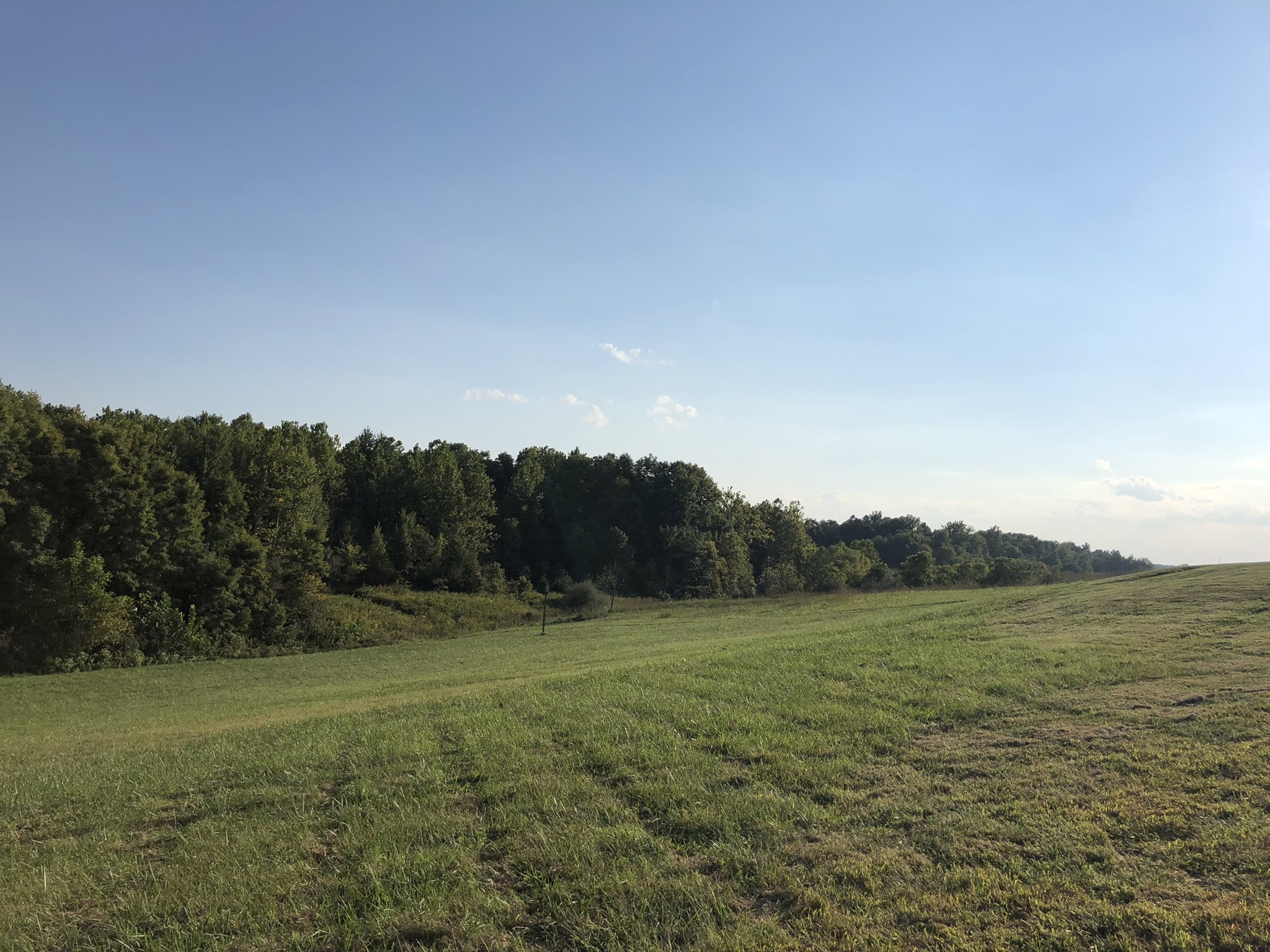 indiana 6