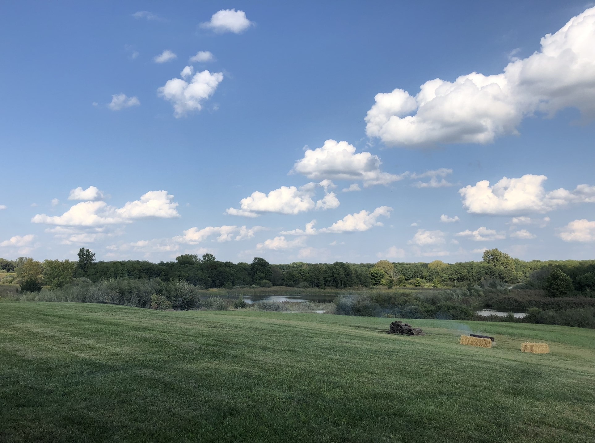 indiana 7