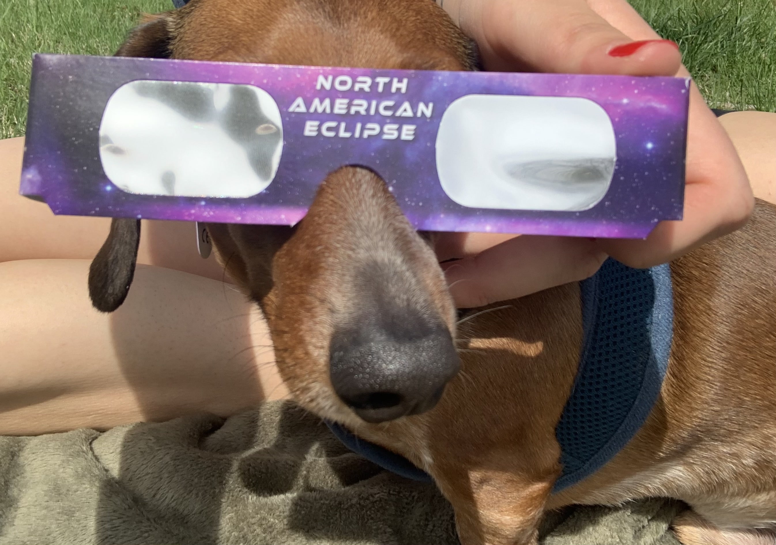 rigby